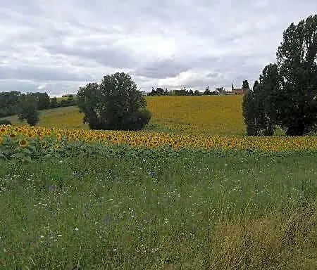 Domaine De Cayre 3* Mervilla